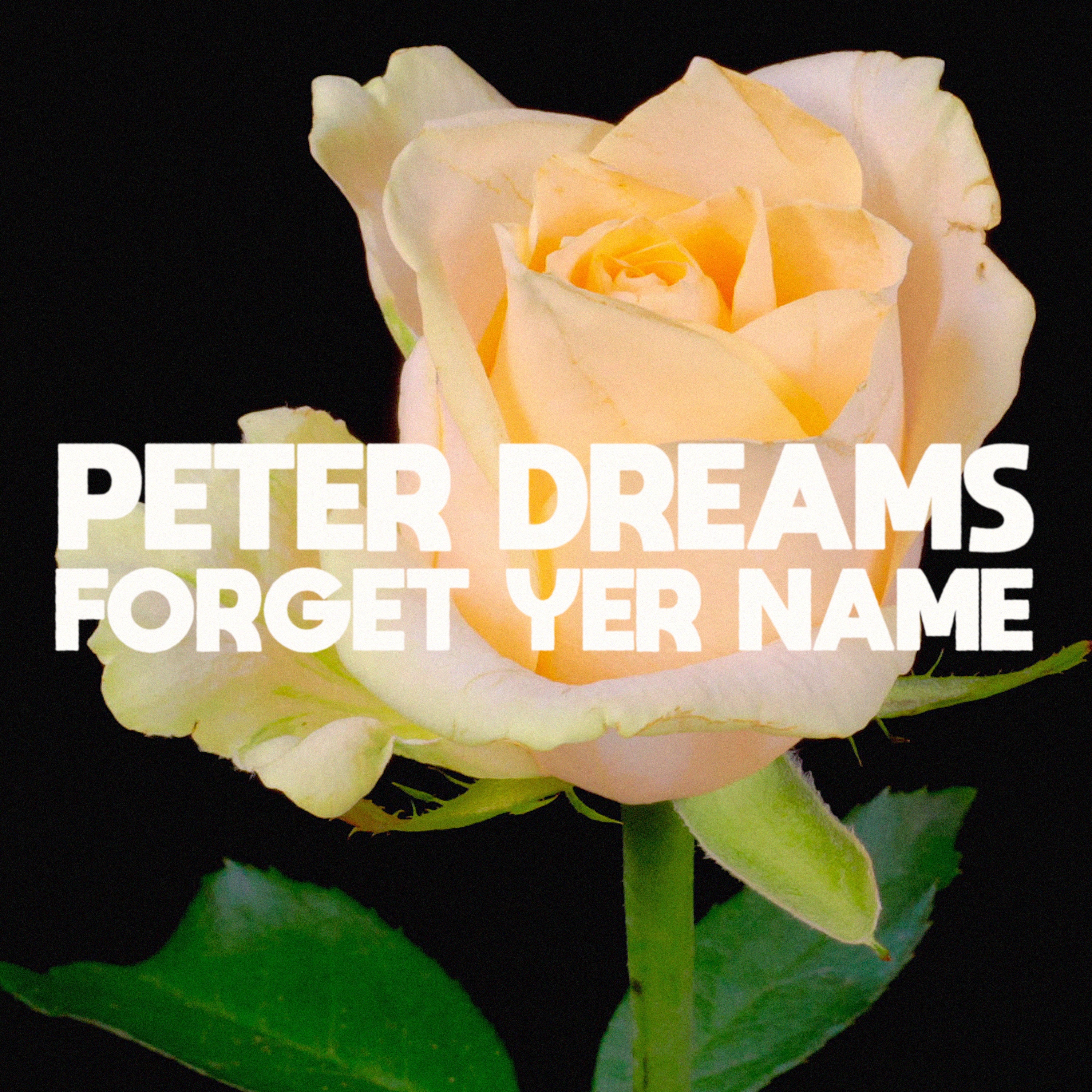 PeterDreams_ForgetYerName_SingleArt2.jpg